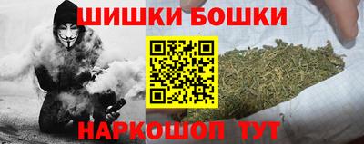 индика Ливны