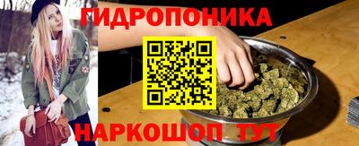 индика Ливны