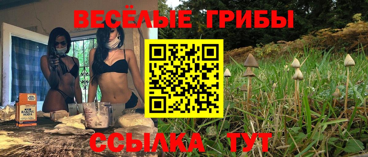 Галлюциногенные грибы Magic Shrooms  Вход с VPN  купить  сайты  Галлюциногенные грибы прущие грибы  Городец 